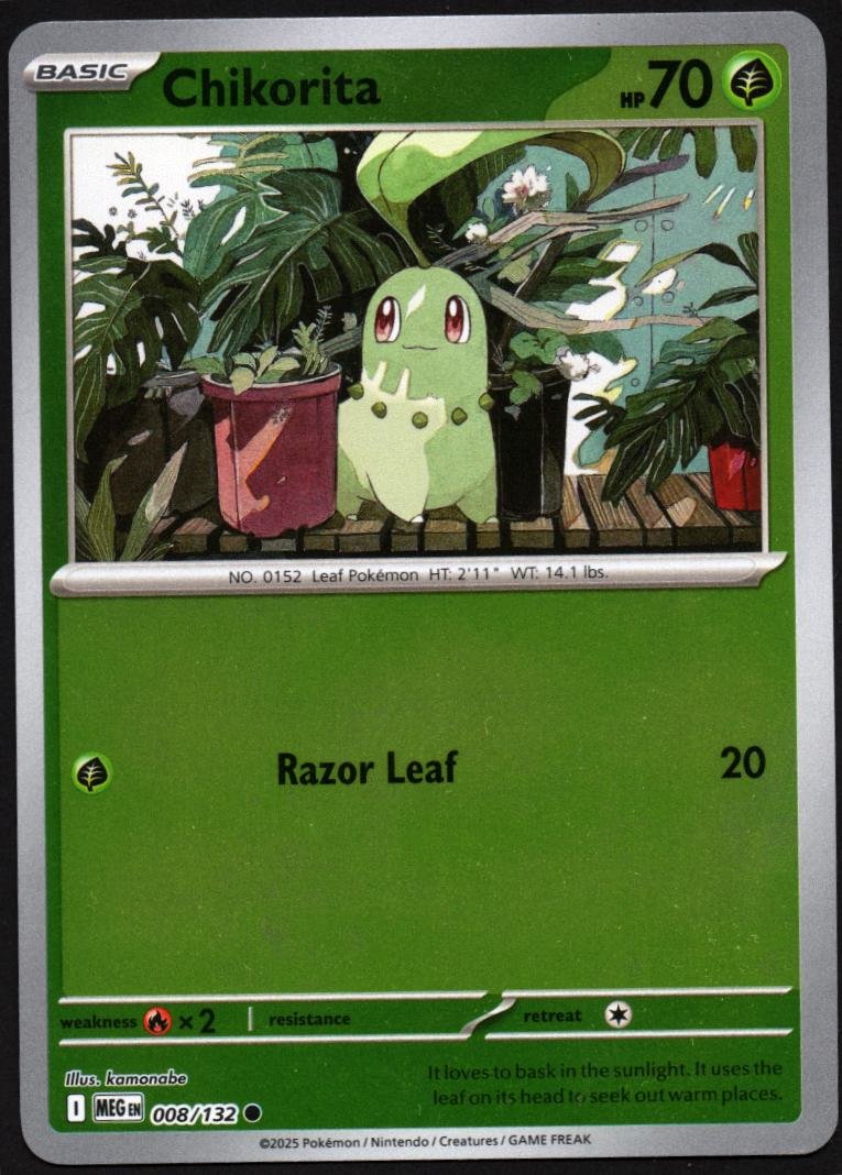 Pokémon TCG Chikorita