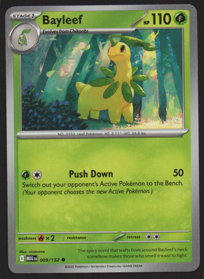 Pokémon TCG Bayleef