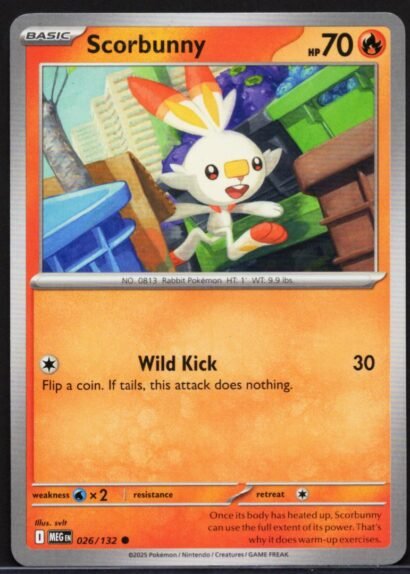Pokémon TCG Raboot