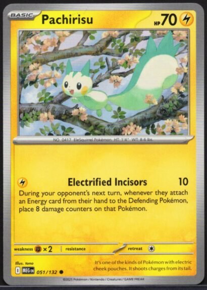 Pokémon TCG Nincada