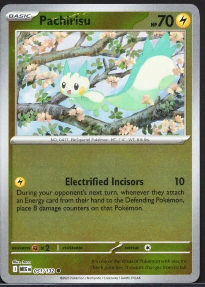 Pokémon TCG Pachirisu