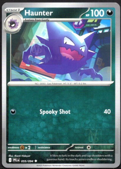 Pokémon TCG Haunter