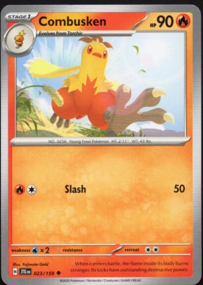 Pokémon Trading Card Game Combusken