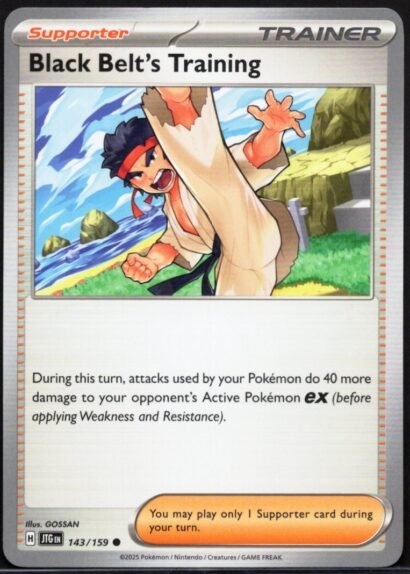 Pokémon Trading Card Game Black Belt’s Training