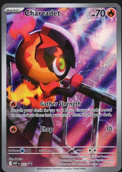Pokémon Charcadet