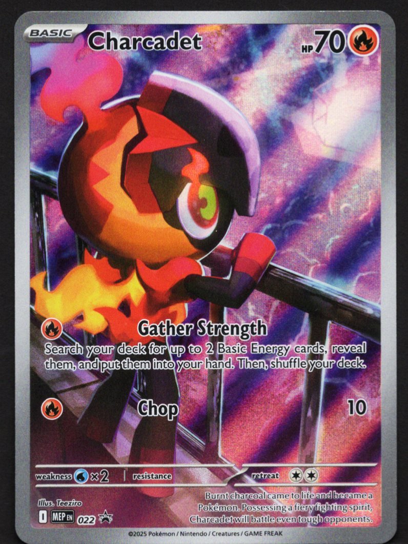 Pokémon Charcadet